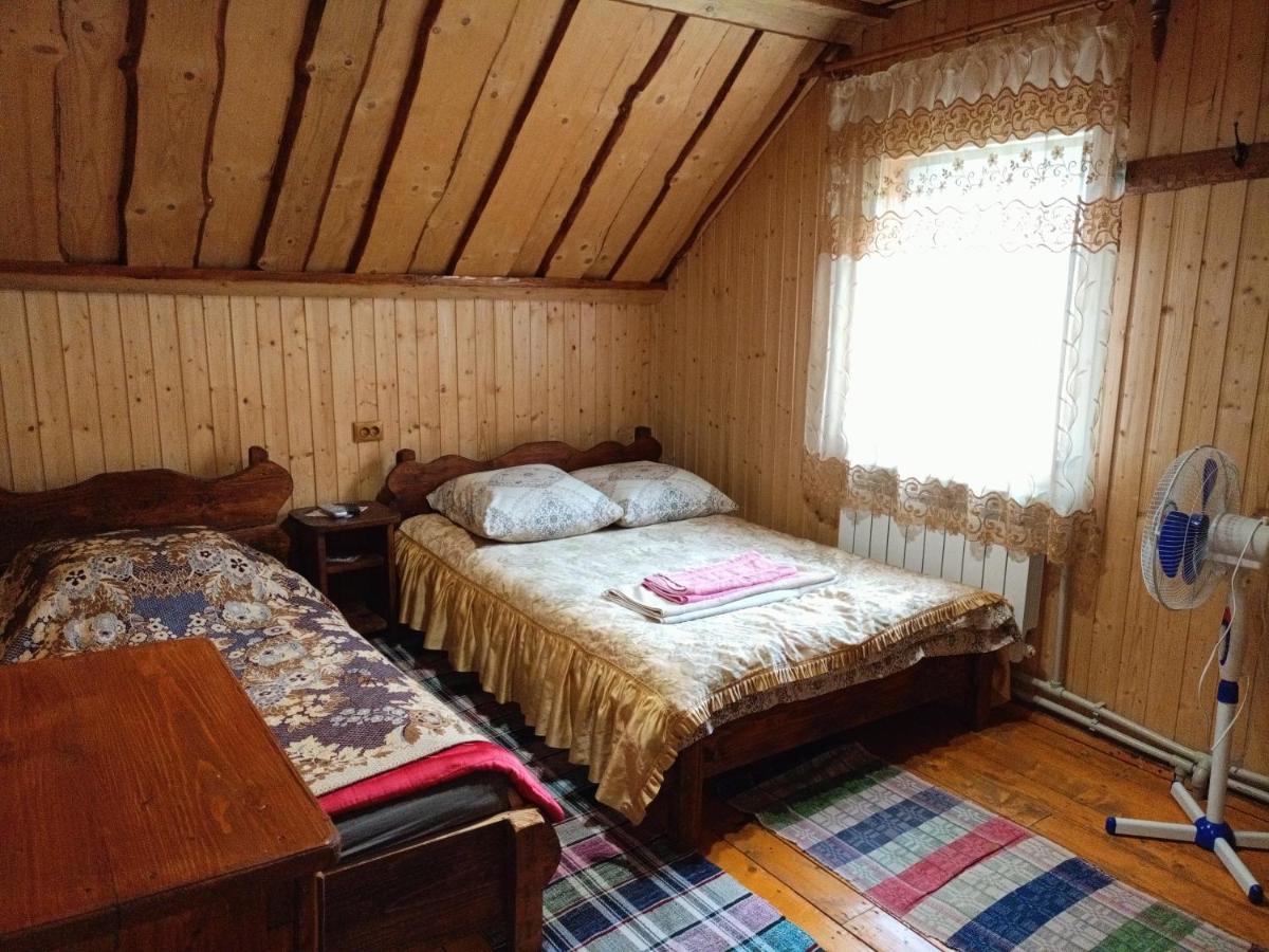"Відпочинок В Карпатах" Villa Izki Exterior photo